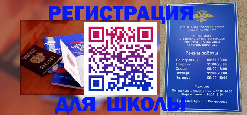 прописка для работы в Можге